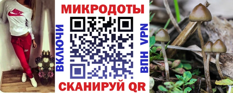 купить   Белая Калитва  Галлюциногенные грибы прущие грибы 